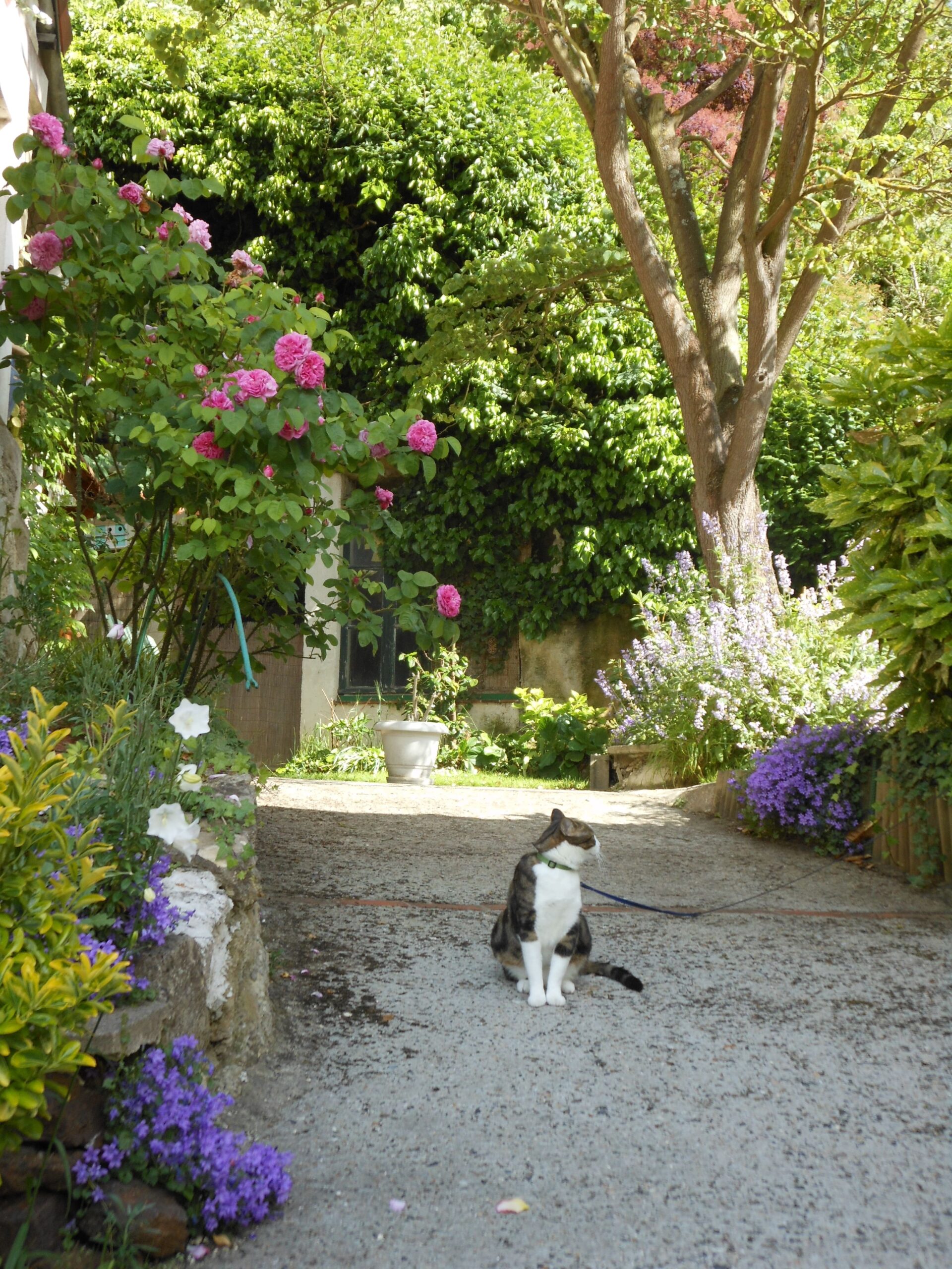 Photo de Bernard LACOUR