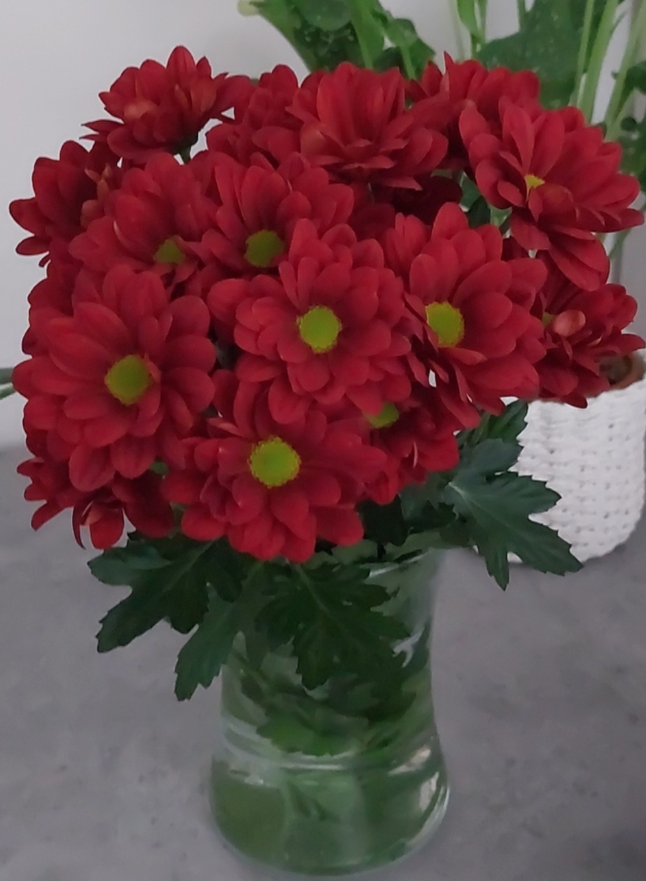 Photo de Sylvia SEBY