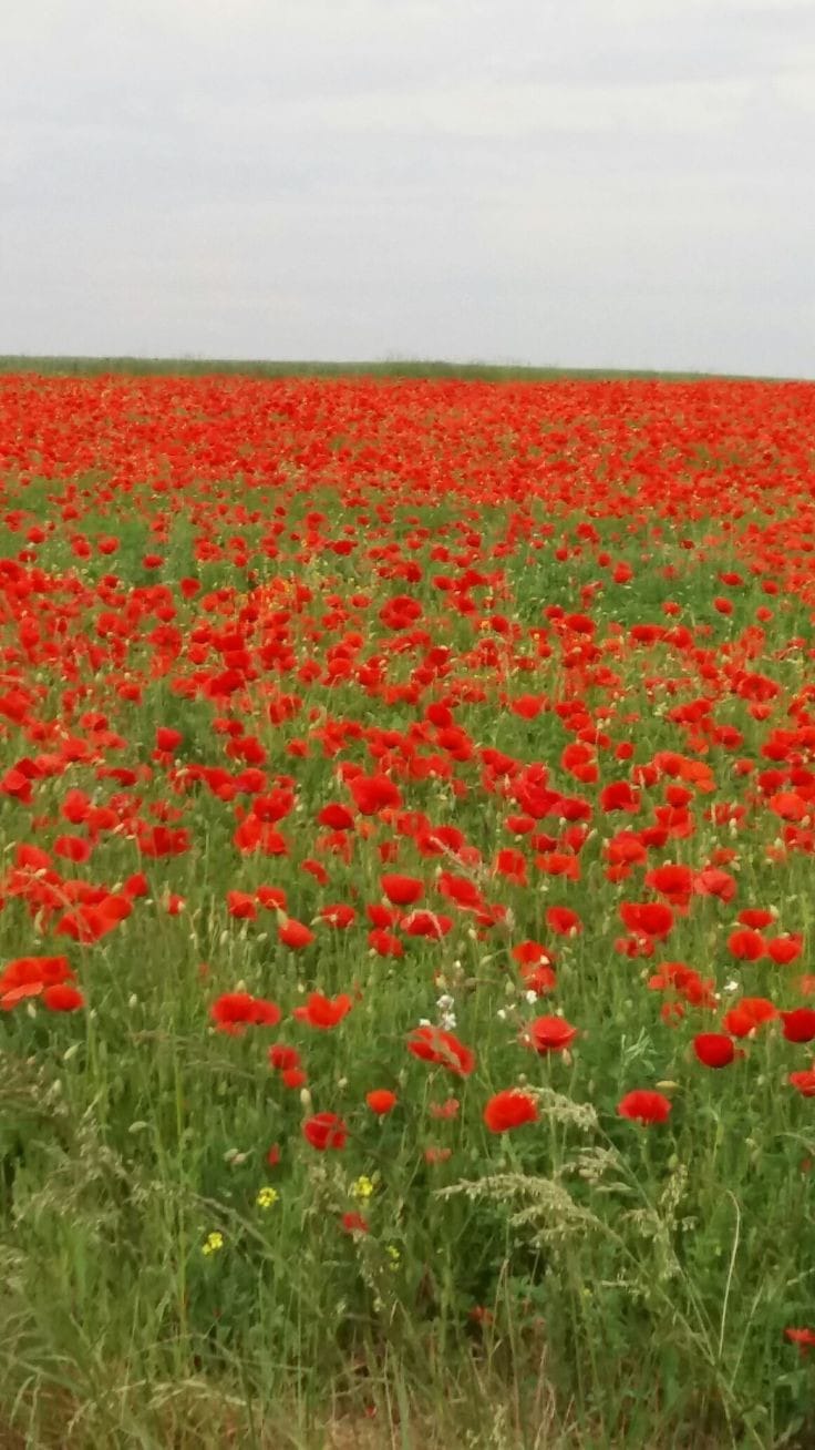 Photo de Marc CLAUDEL