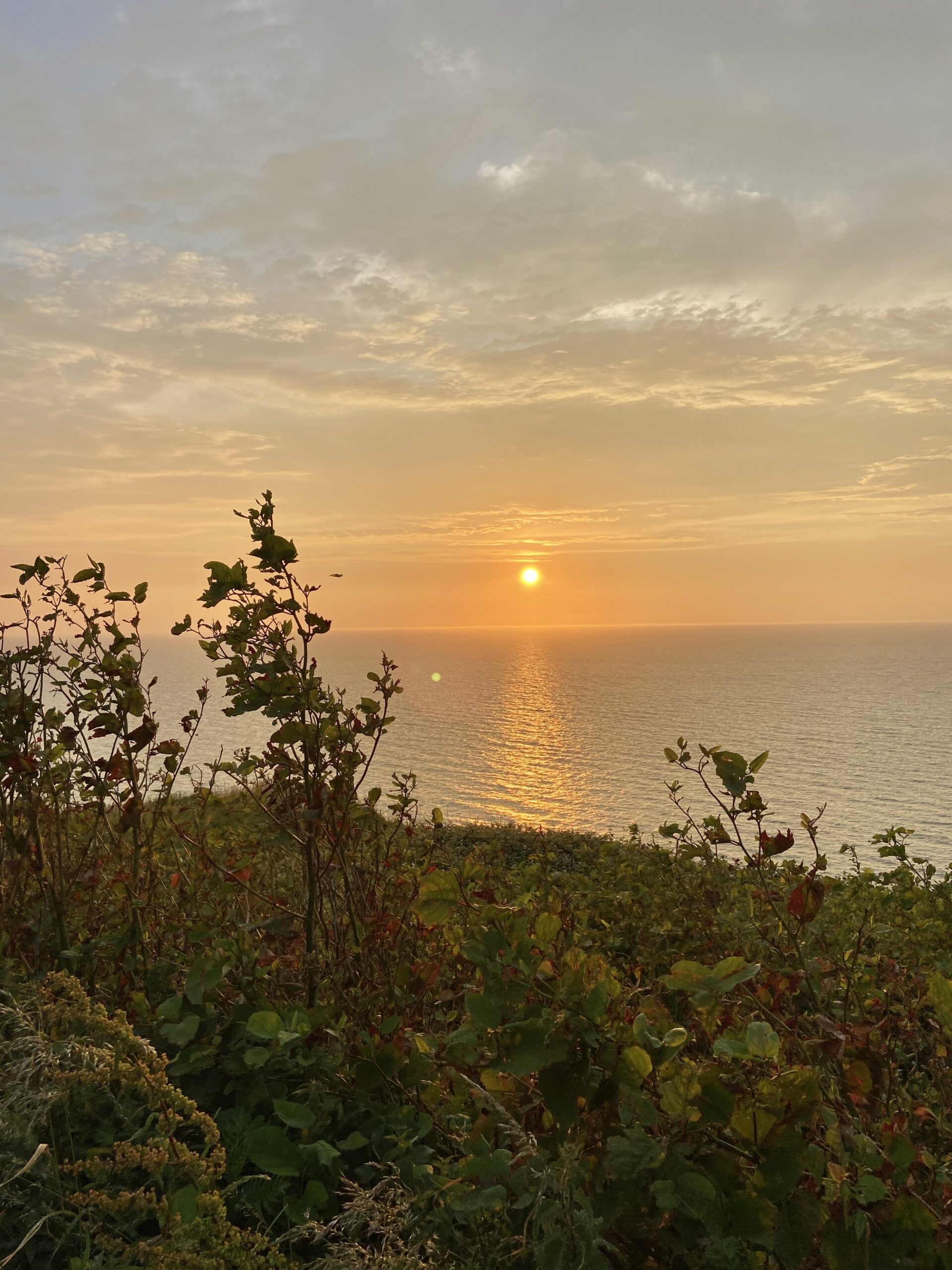 Photo de Sadèk REMILA