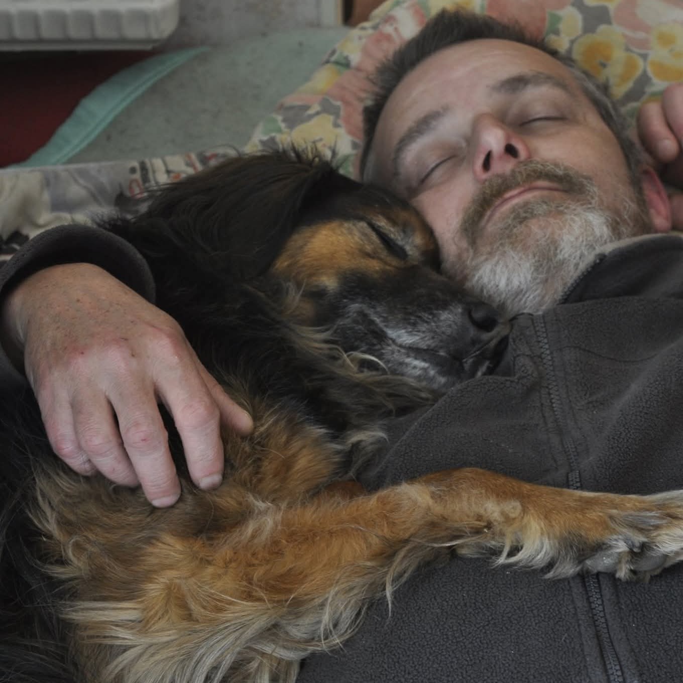 Photo de Dominique MEHEUST