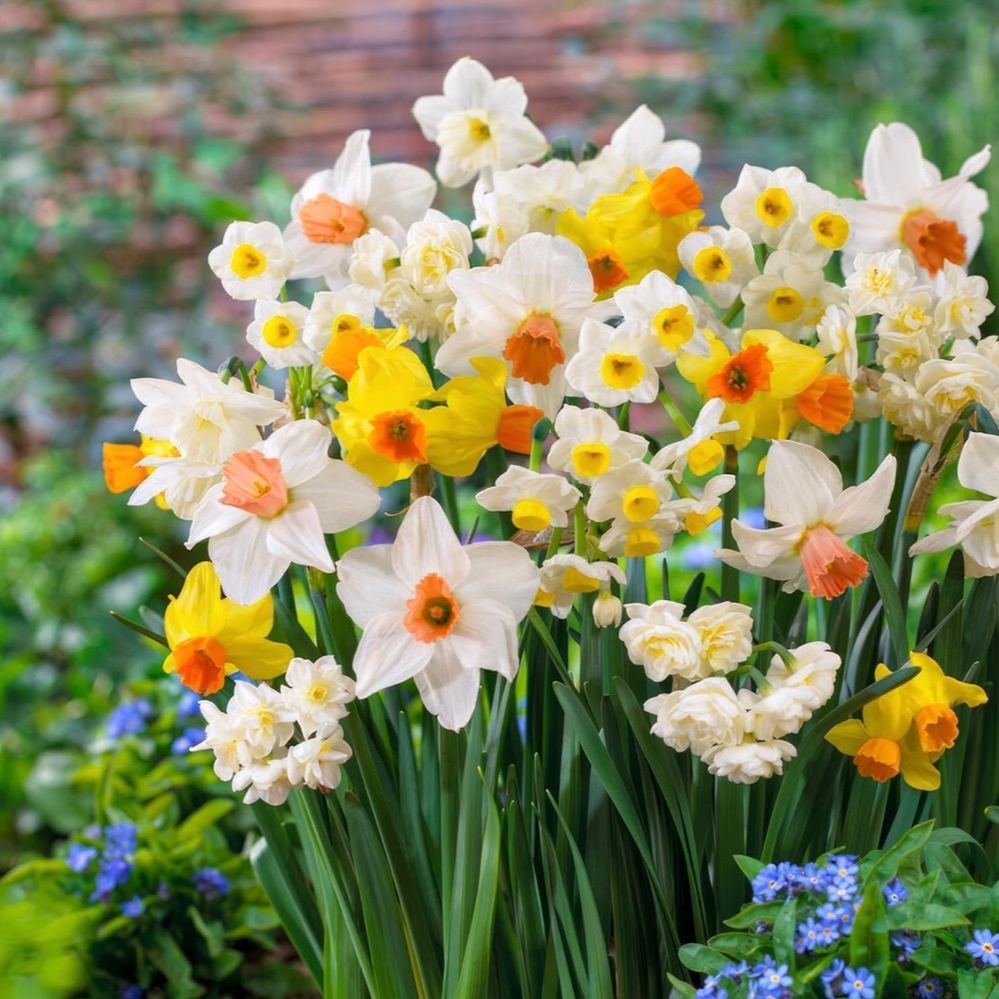 Photo d’Anne-Marie PAMART