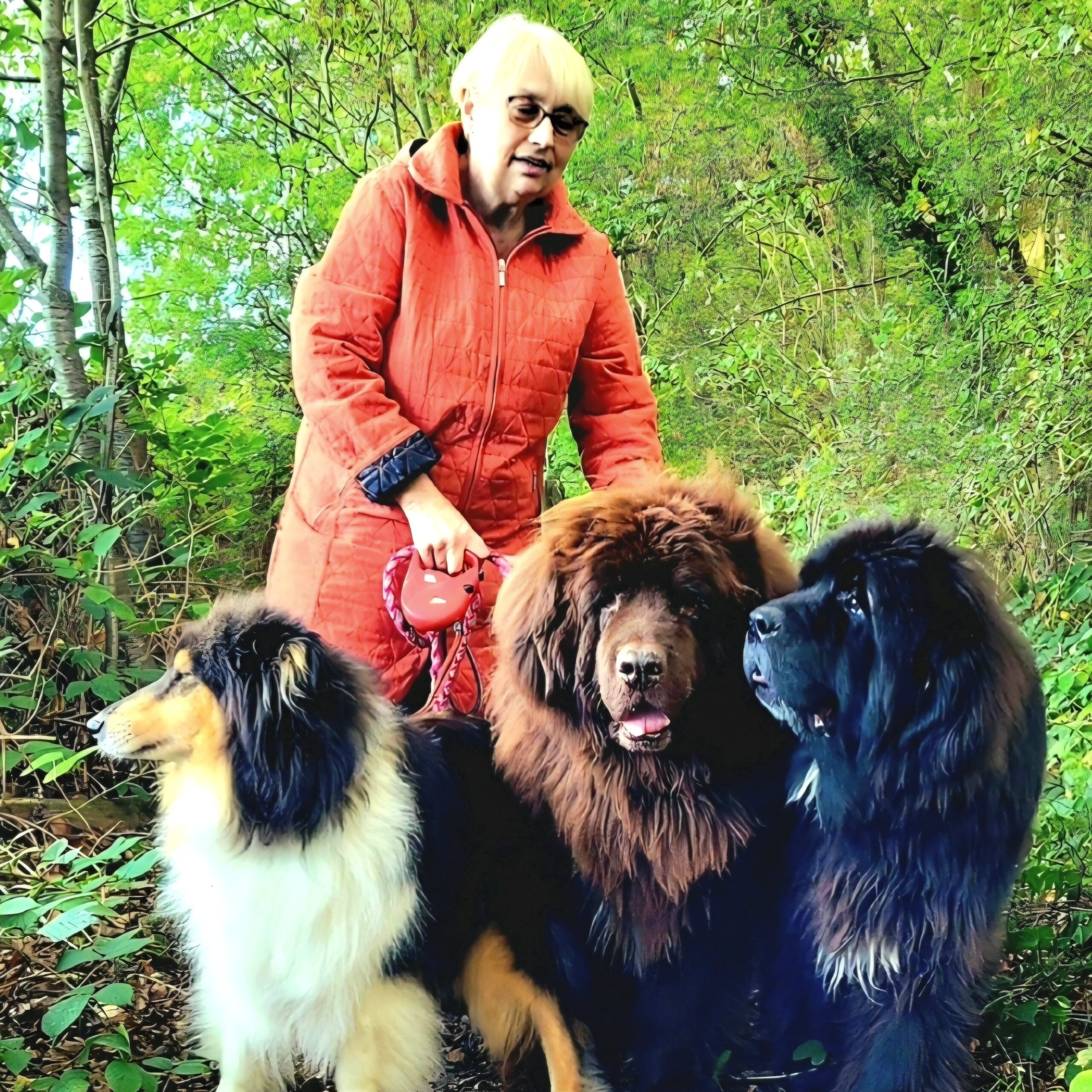 Photo de Françoise HÉRY